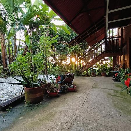 Vila El Eden Minca Exteriér fotografie