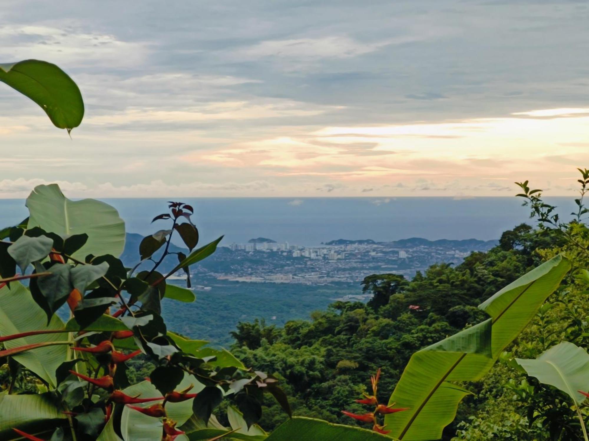 Vila El Eden Minca Exteriér fotografie